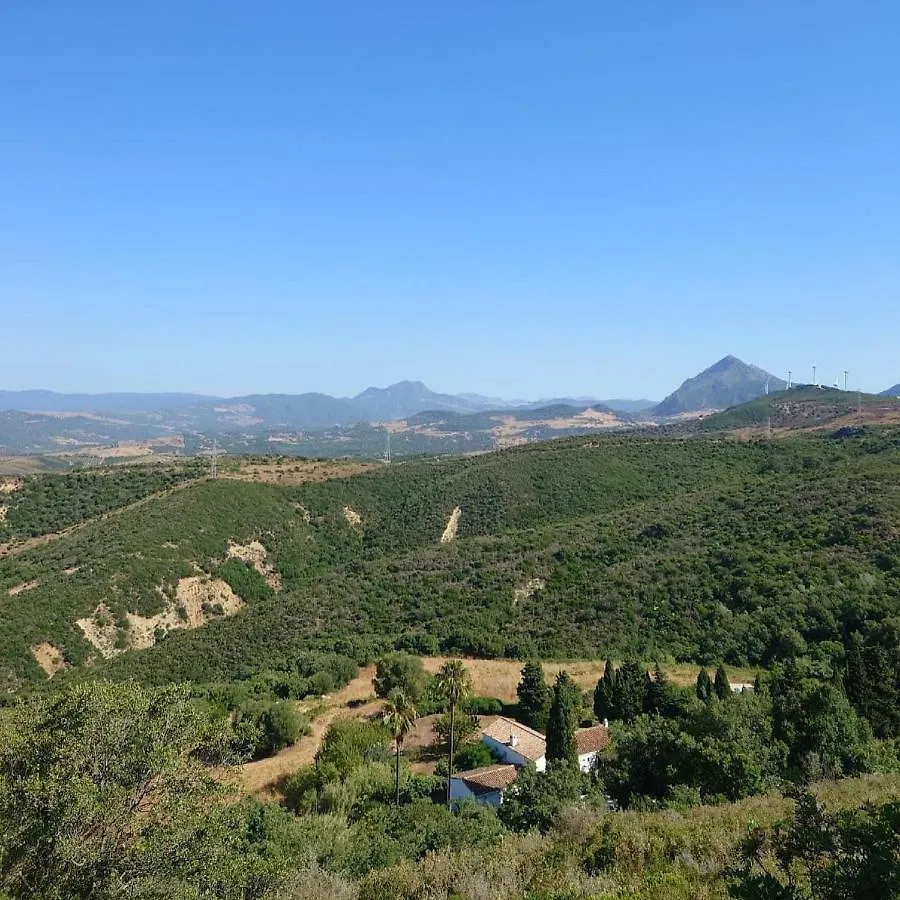 The Wild Olive Andalucia Agave Guestroom Casares